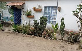 Hermoso Palomino